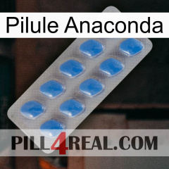 Anaconda Pill 22